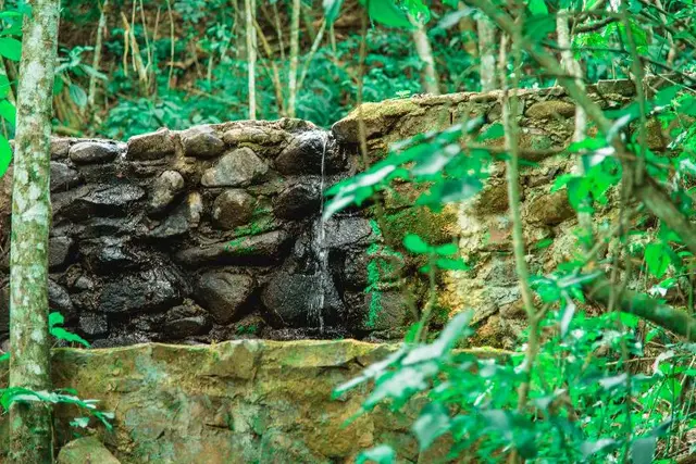 Canzi Cataratas Hotel