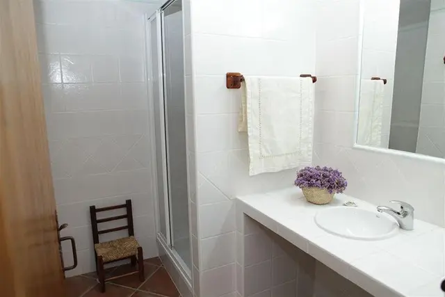 Casas Do Palheiro Velho