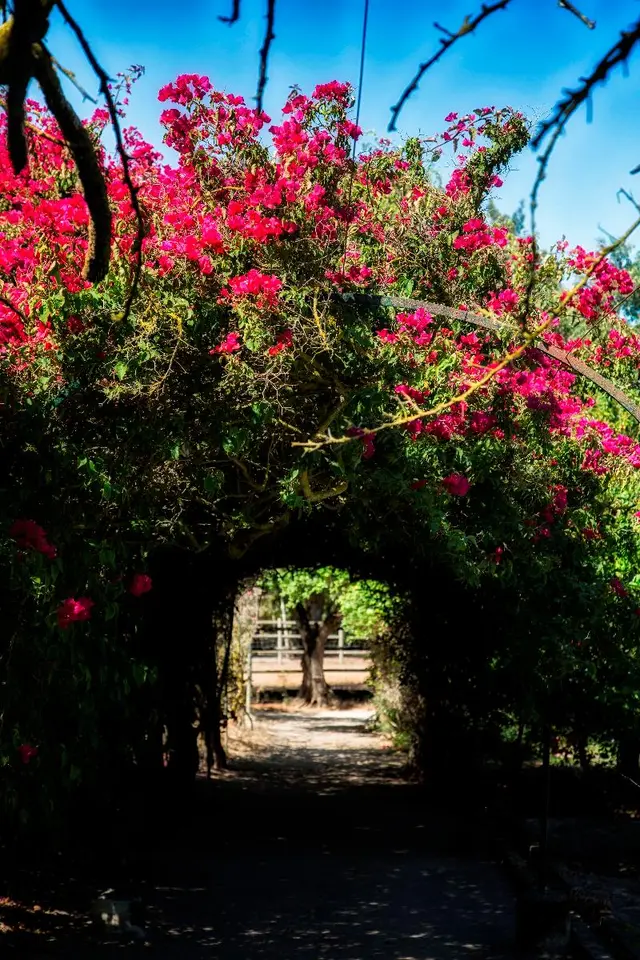 Quinta Da Praia Das Fontes