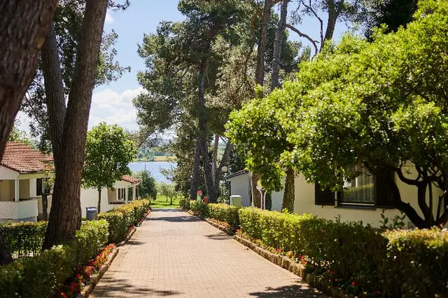 Apartments Galijot Plava Laguna
