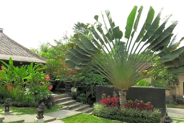Villa Nirvana Bali