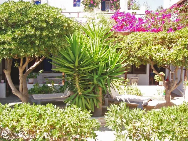 Villa Arni
