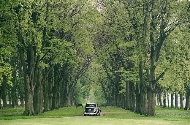 Lucknam Park, Emblems Collection