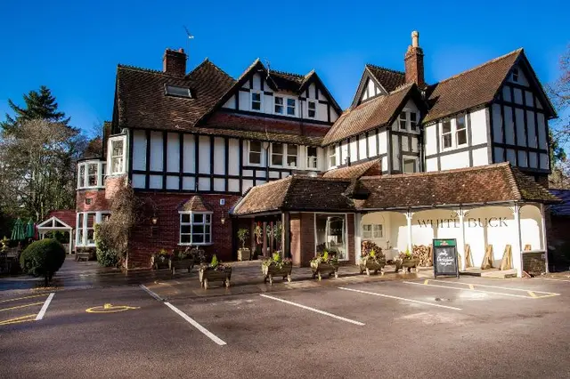 The White Buck Inn