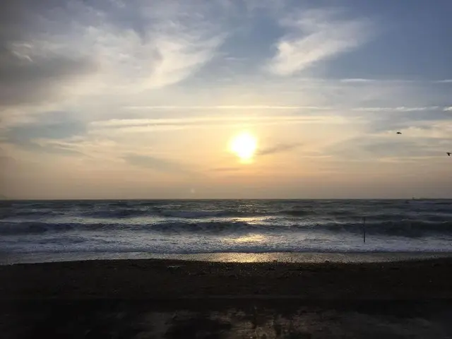 The Beach House