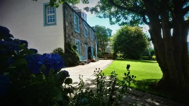 The Lime Tree