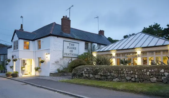 The Plume of Feathers