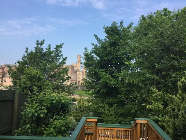 Castle Viewpoint Bed and Breakfast