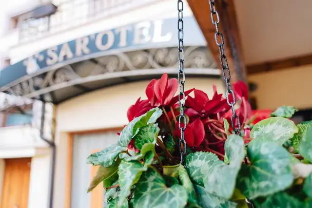 Sar'Otel Hotel & SPA