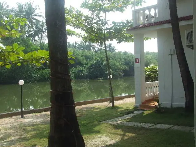 Mandrem Beach Resort