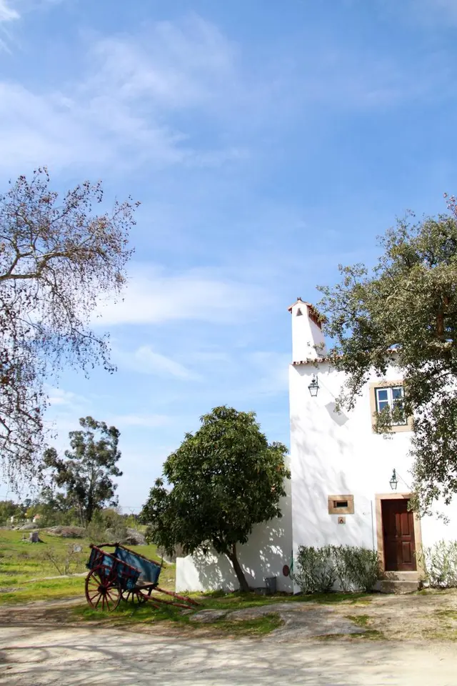 Quinta dos Ribeiros