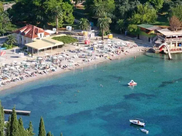 Apartments Ivica