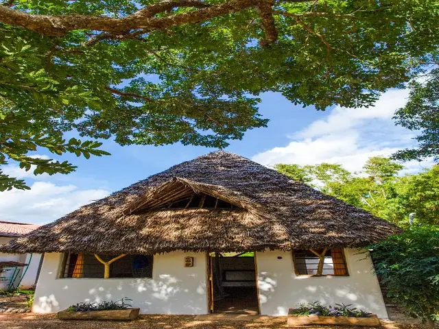 Distant Relatives Ecolodge & Backpackers