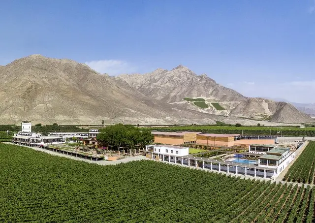 Viñas Queirolo