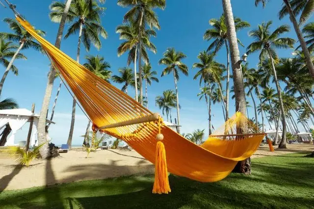 Viva V Samana Wyndham A Trademark Adults All Incl