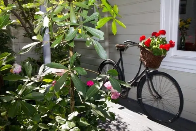 Cambria House B&B