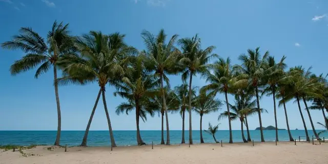 Ellis Beach Oceanfront Bungalows