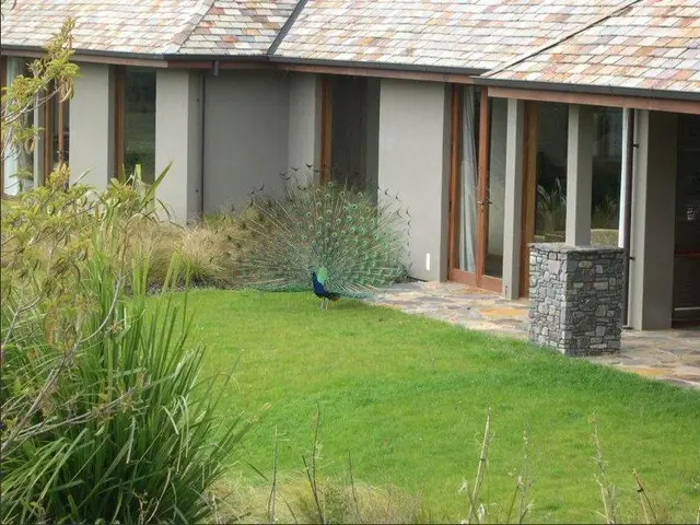 Treetops Lodge & Estate