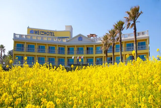 Jeju Mei the Hotel