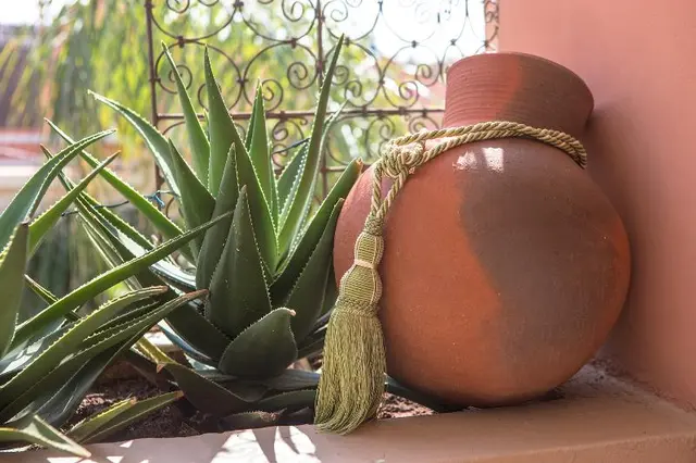 Riad Villa Harmonie