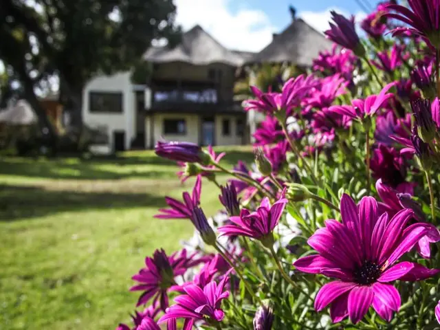 Winelands Villa Guesthouse & Cottages