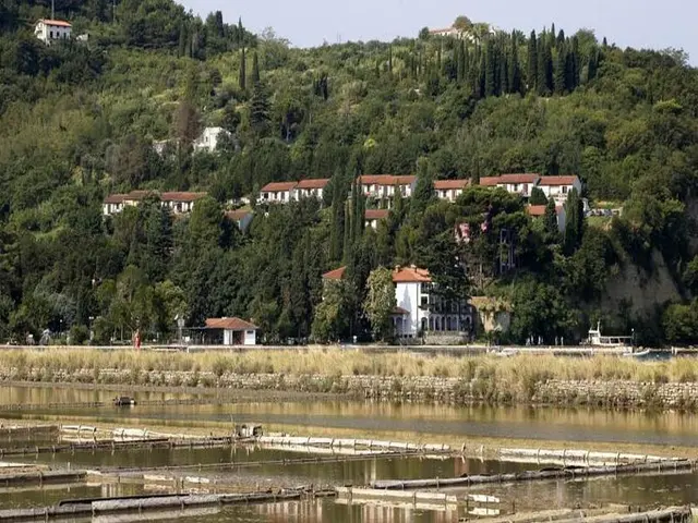 Salinera Apartments
