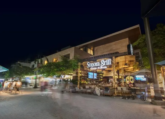 The Yucatan Playa del Carmen Tapestry Collection