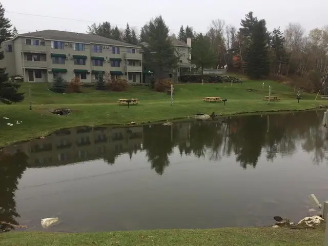 North Star Lodge & Resort