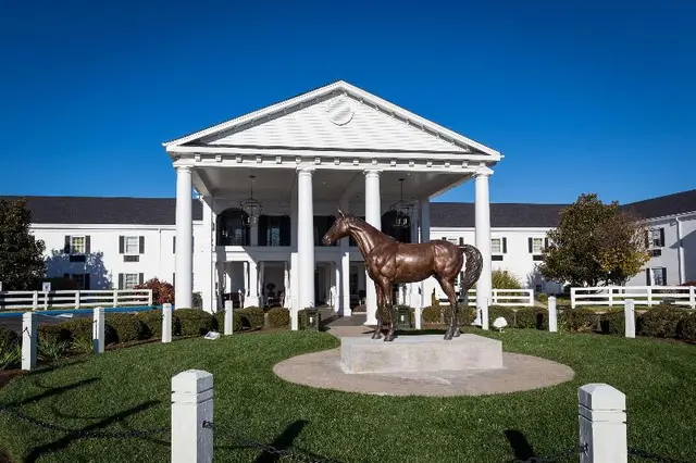 The Campbell House Lexington, Curio Collection