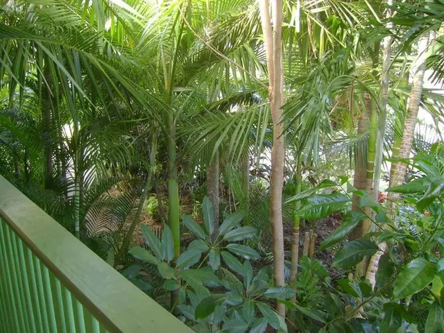 A Tropical Nite