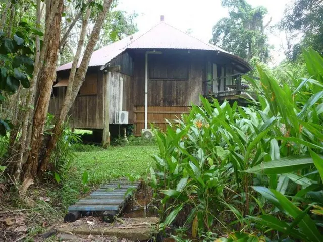 PKs Jungle Village