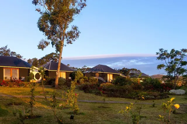 Altiplanico Rapa Nui