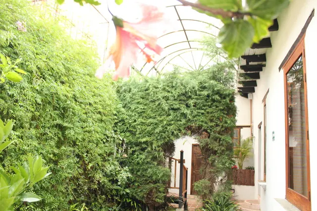 Sereno Art Hotel