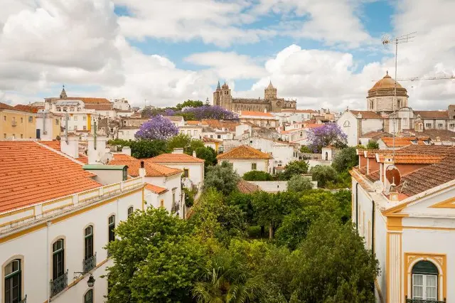 Evora Olive Hotel