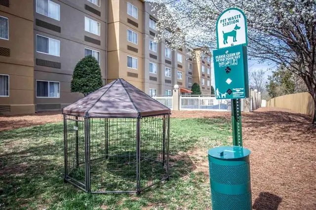 Spark by Hilton Kannapolis
