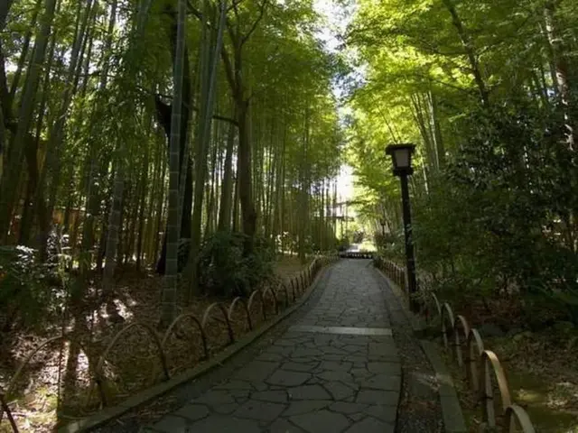 Shuzenji Onsen Hotel Takitei