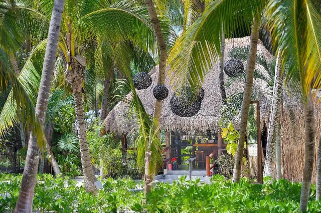 Maya Tulum