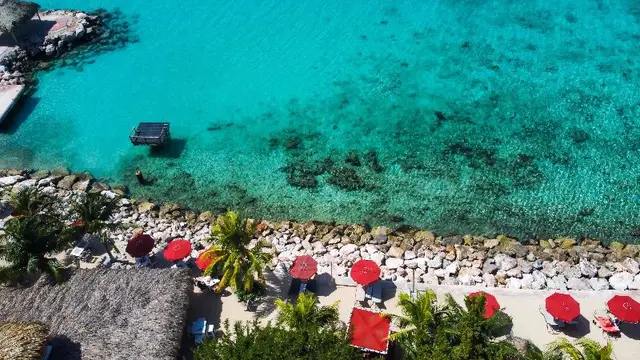 Coral Estate Luxury Resort