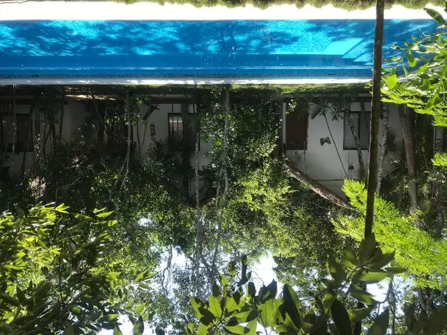 Ecovergel Riviera Maya Hotel Boutique Spa