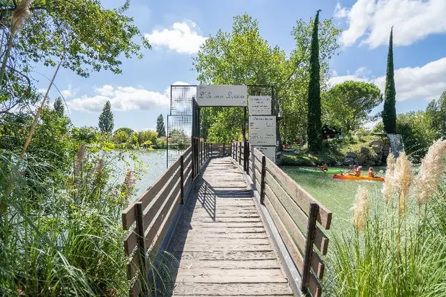 Adonis Arles Les Hameaux de Camargue