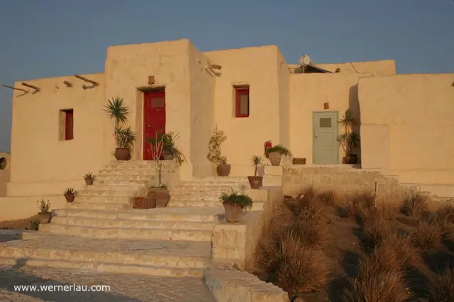 The Oasis