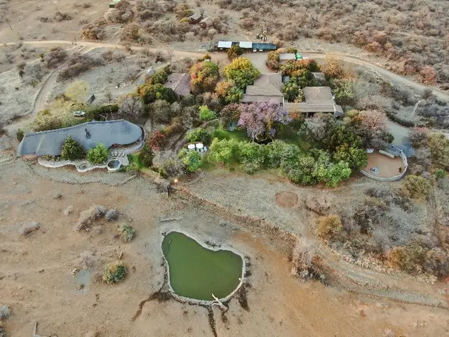 Last Word Madikwe