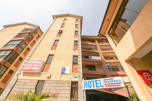 Upper Hill Blueberry
