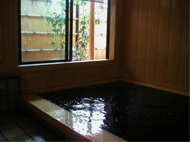 Ryokan Iriumi