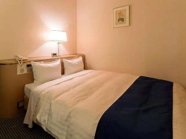 Ariston Hotel Miyazaki