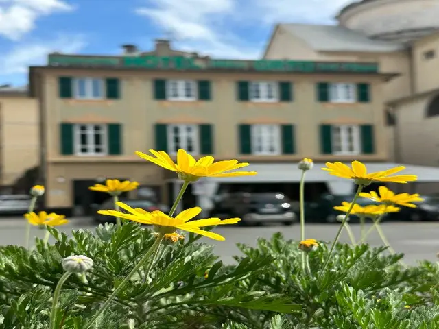 Hotel Dell'Orto
