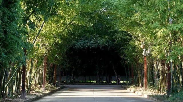 Bamboori Boutique Resort Chiang Mai