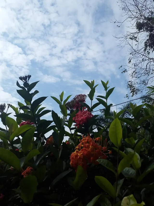 Hotel Colibri