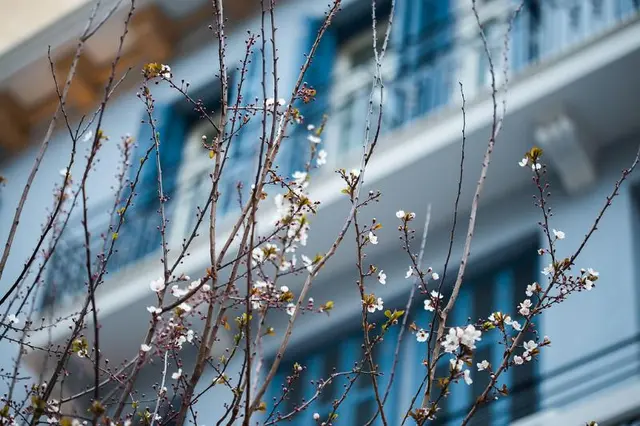 Bahar Boutique Hotel