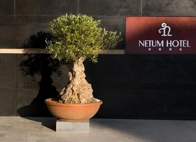 Netum Hotel